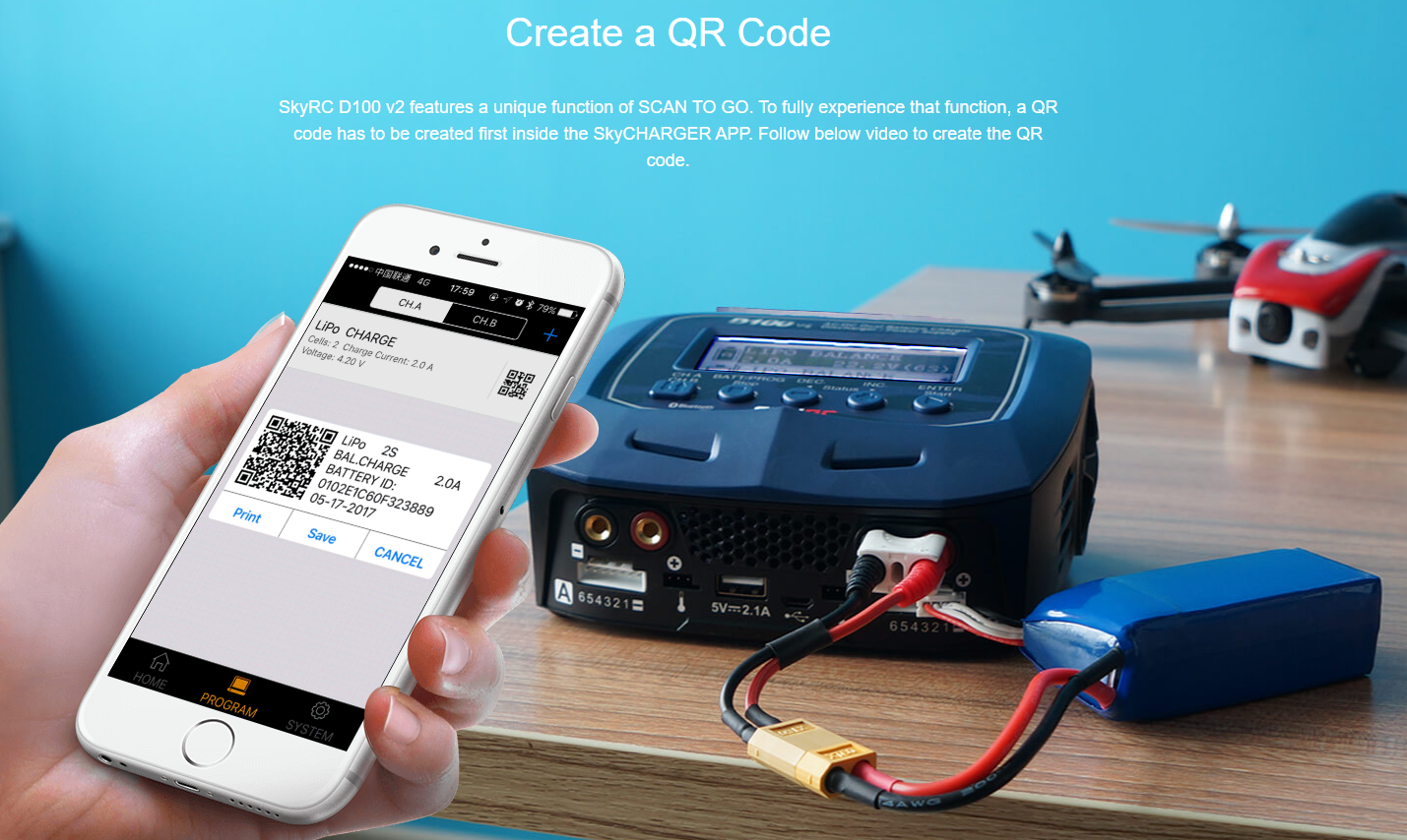 SKYRC D100v2 Charger