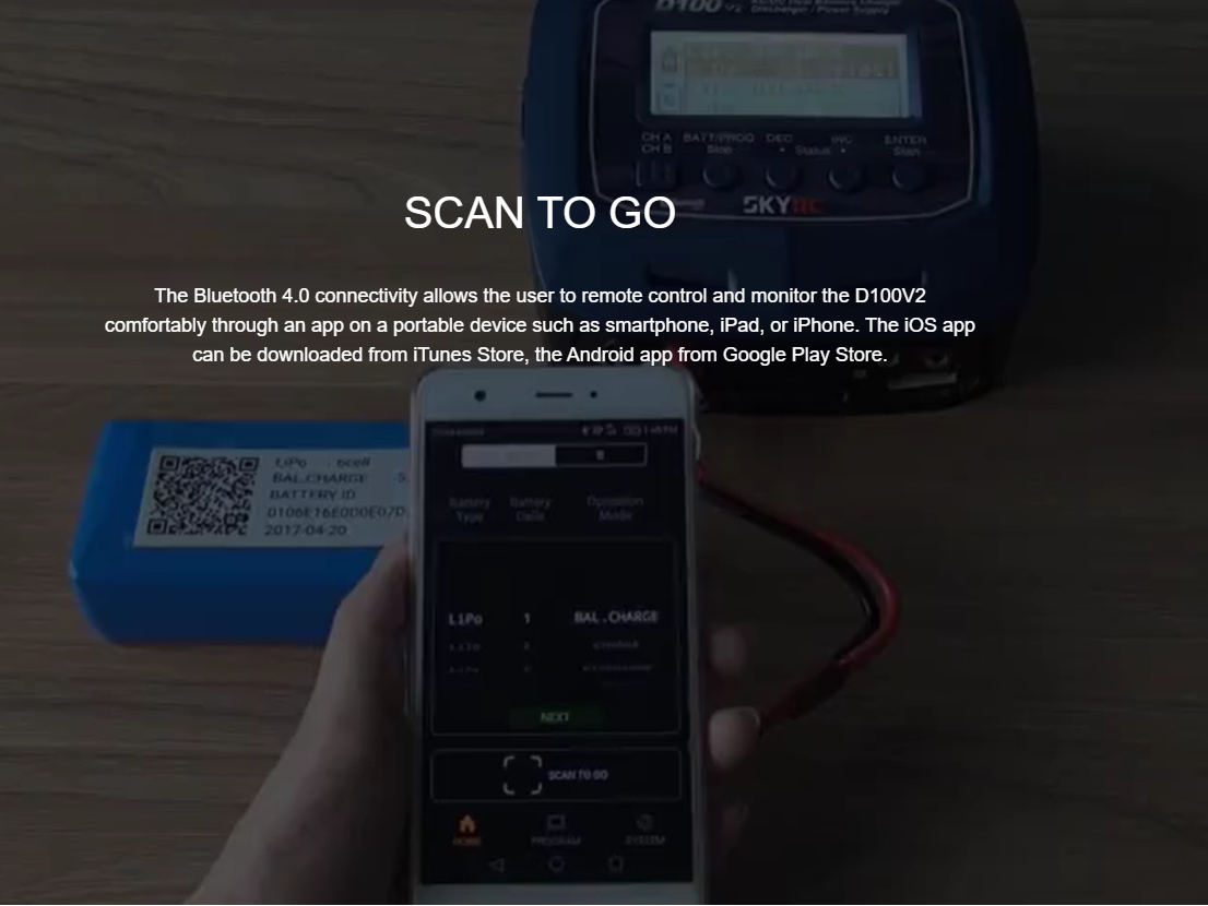 SKYRC D100v2 Charger