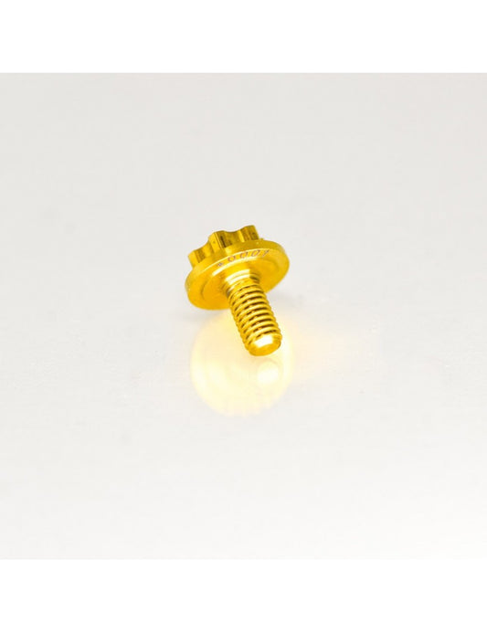 CLUTCH RETAINER ALLEN SCREW IN TITANIUM GRADE 5 6AL4V "LIMITED EDITION" 2 PIECES